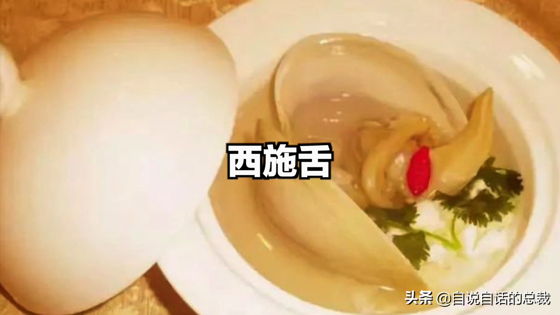 蛤、蚶、蛏、蚝、蚬有什么区别？这是一群美味海怪与人类的故事