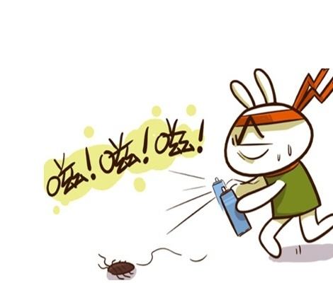 消灭蟑螂小妙招土豆,消灭蟑螂有妙招一碗水轻松搞定