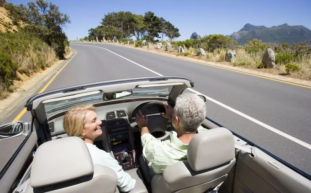 开车撞了小动物怎么处理,开车高速路上撞到小动物怎么化解