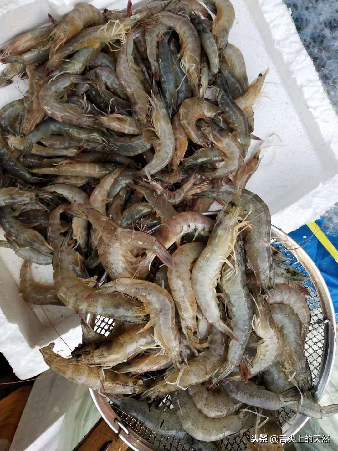 海鲜批发市场打工的都干啥活,农村小伙在野外做海鲜生意