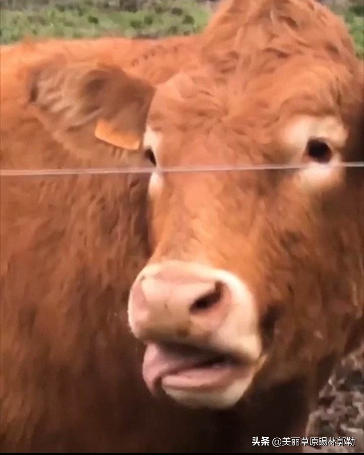 六看六查对照检查材料,六审六看