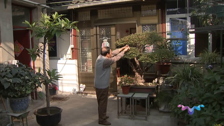 新时代扬州的变化,扬州是个好地方图片