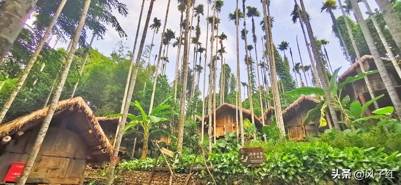 三亚这个用一难吃果子命名的地方，见血封喉皮做衣服，妇女都纹面