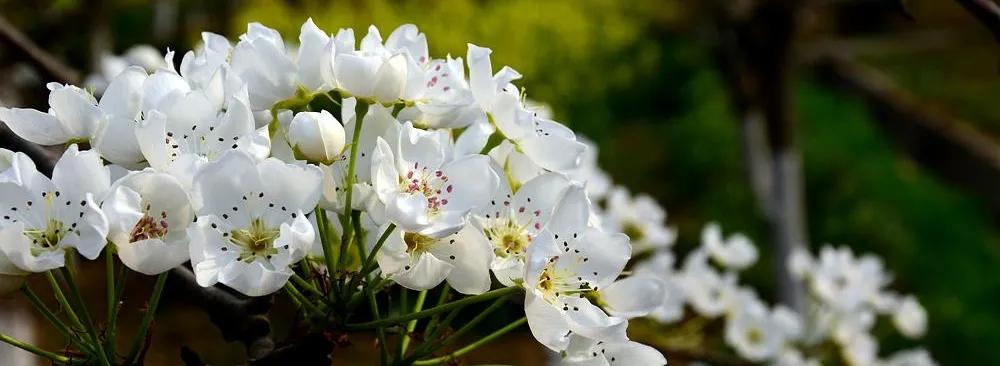 胡均新作|300㎡山水别墅，女企业家的自然田园梦