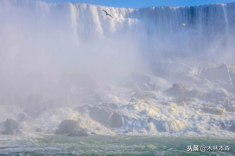 加拿大多伦多生活日记,加拿大多伦多留学生活纪实