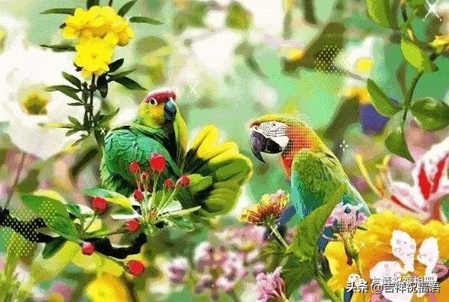 短短几字句句戳心,写得好的经典的句子