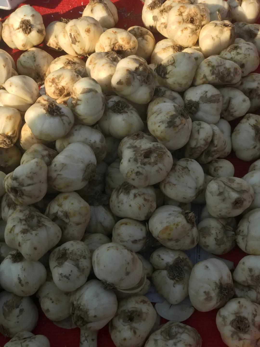 周边最便宜的大集在哪里,10元一两的大集