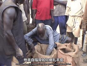 黑人跨入铁器时代的关键！揭秘两千年前的黑人冶铁术，包教不包会