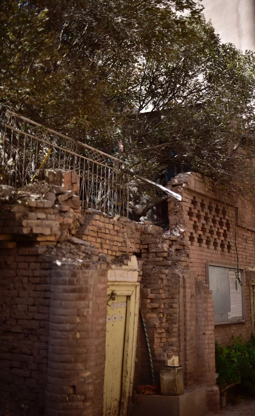 新疆炫富方式是什么,新疆喀什好种的花