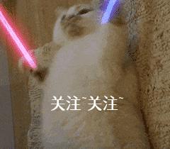 一直撸狗狗会怎么样,一直撸狗狗会烦吗