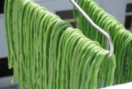 家里吃不完的豆角晒干,家里种的豆角吃不完怎么办