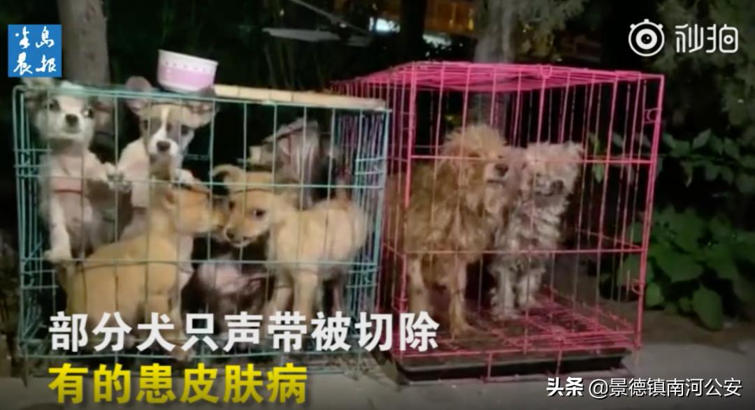 “割声带、截肢、电击，当爱变成我的噩梦”