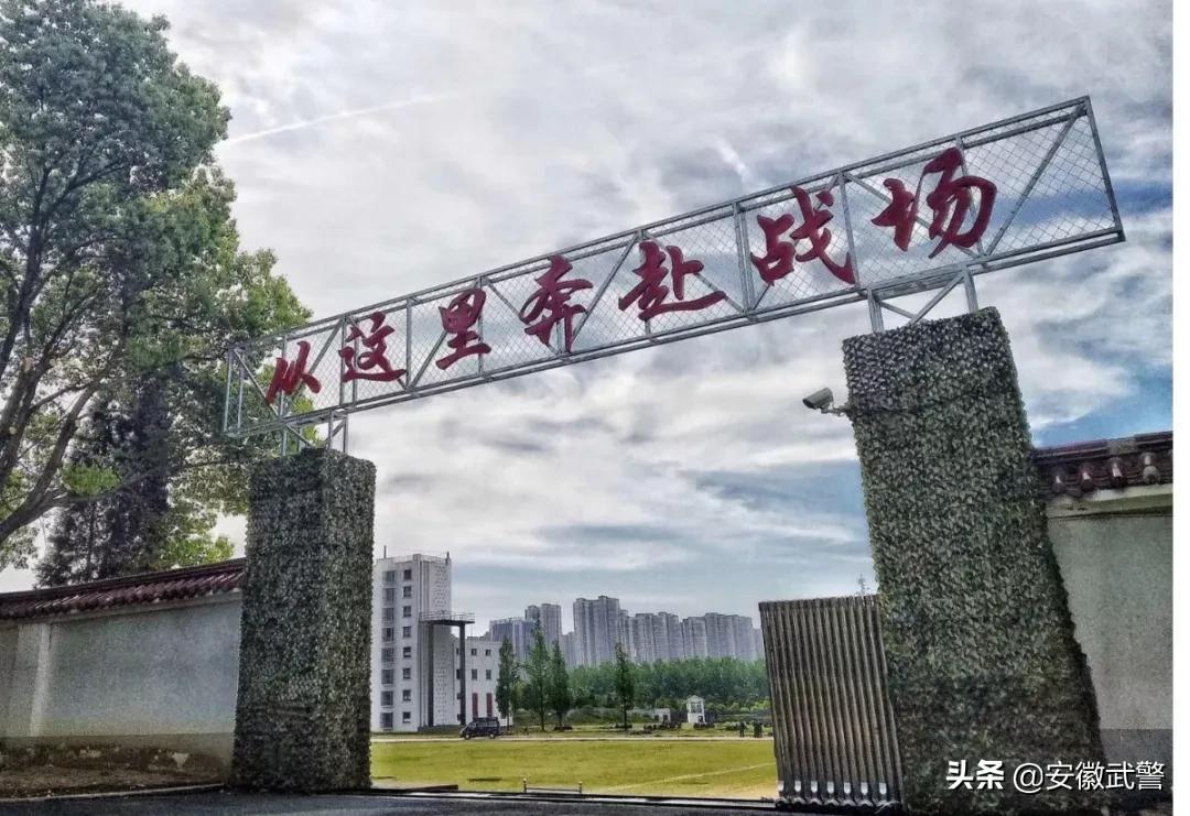 纪实视频,记实记录