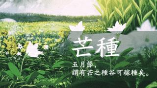 除湿气水肿喝什么汤,祛湿消水肿