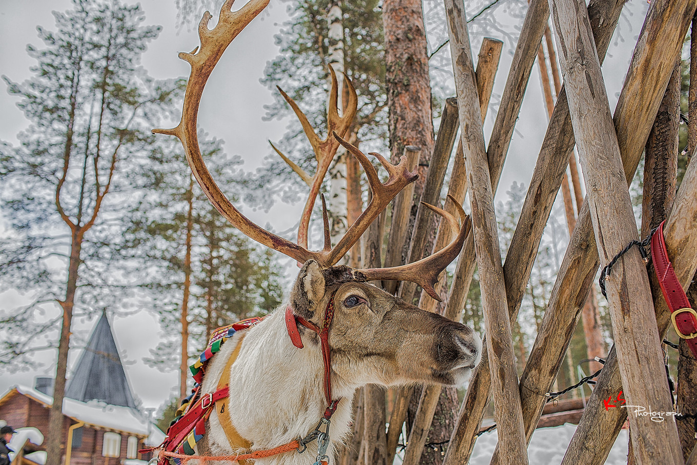 果小姐的日常,果小姐的慢生活