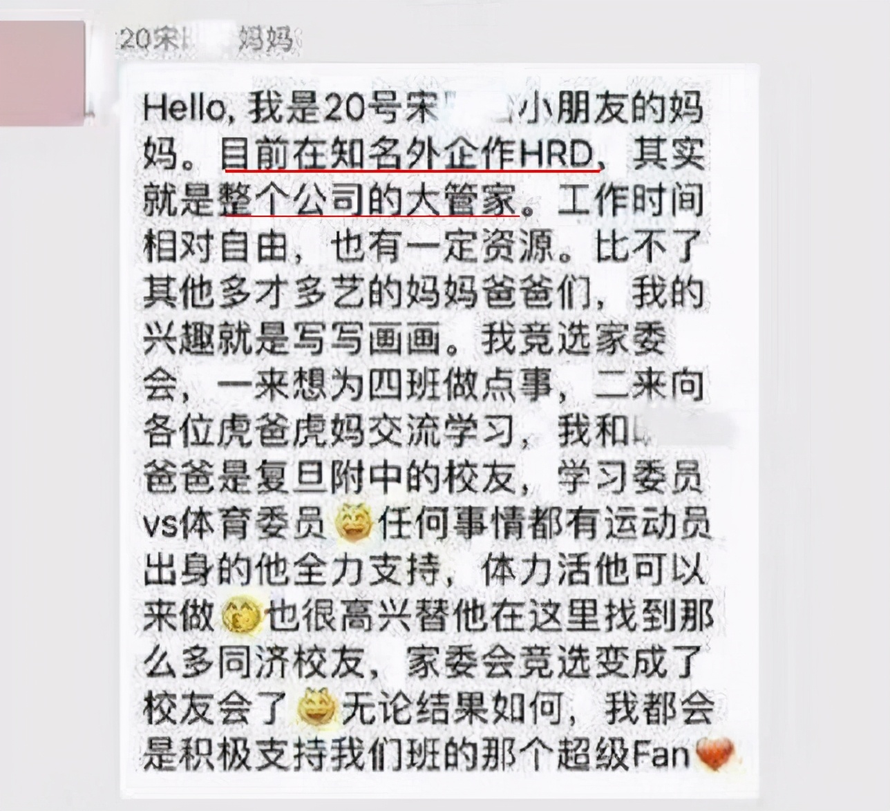 幼儿园家长炫耀式竞选家委会,学校家长竞选家委会