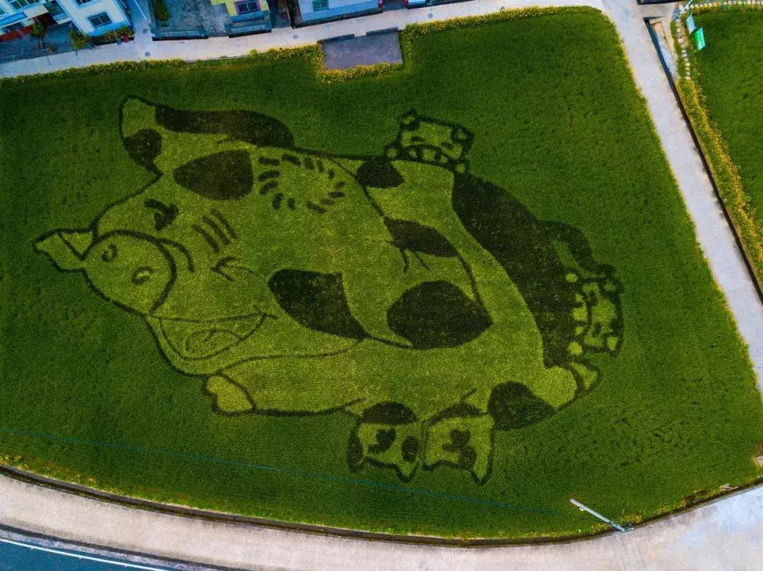 钱塘江画卷,钱塘江画作