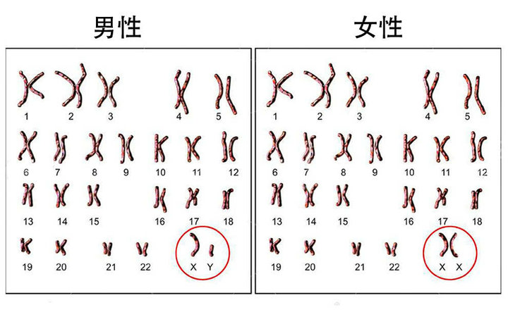 dna破案电视剧,dna破案电影