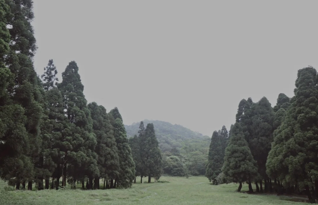 广西大容山森林公园,大容山露营三个露营点的区别