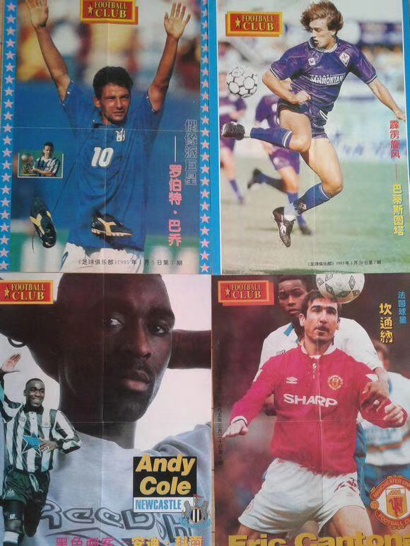 重庆崽儿电视剧全集,重庆崽儿与东北虎