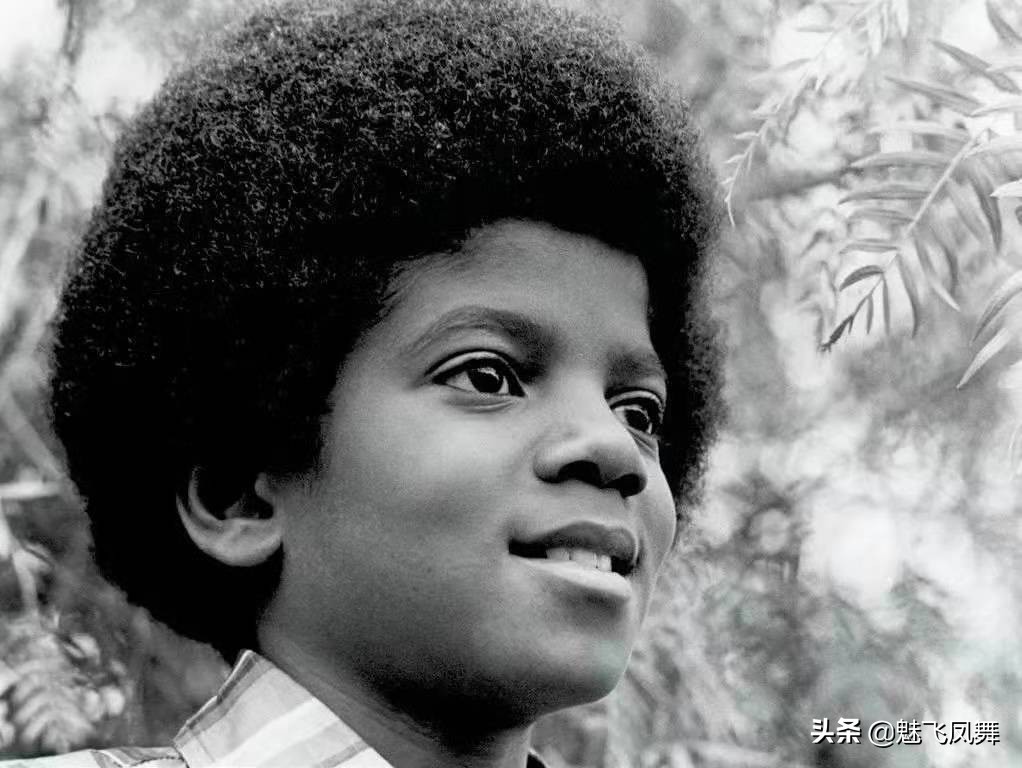 迈克尔杰克逊三十周年纪念,迈克尔杰克逊逝世十周年纪念会