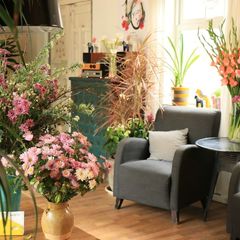 十大走心民宿排行榜,木鸟民宿上海迪士尼民宿大盘点