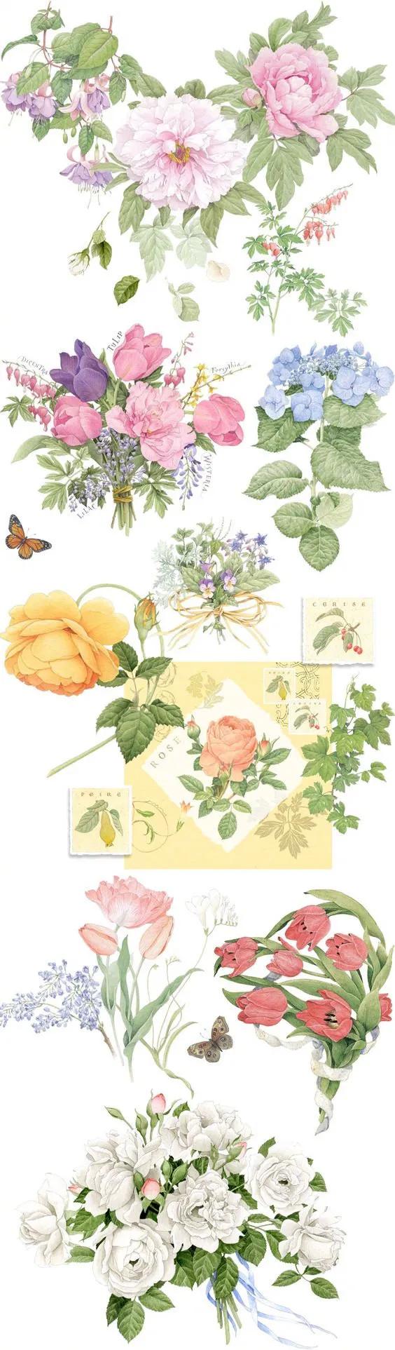 分享一组水彩花卉过程图,超写实水彩花图片