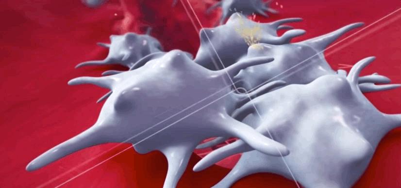 血小板破裂是什么意思,血小板凝固原因