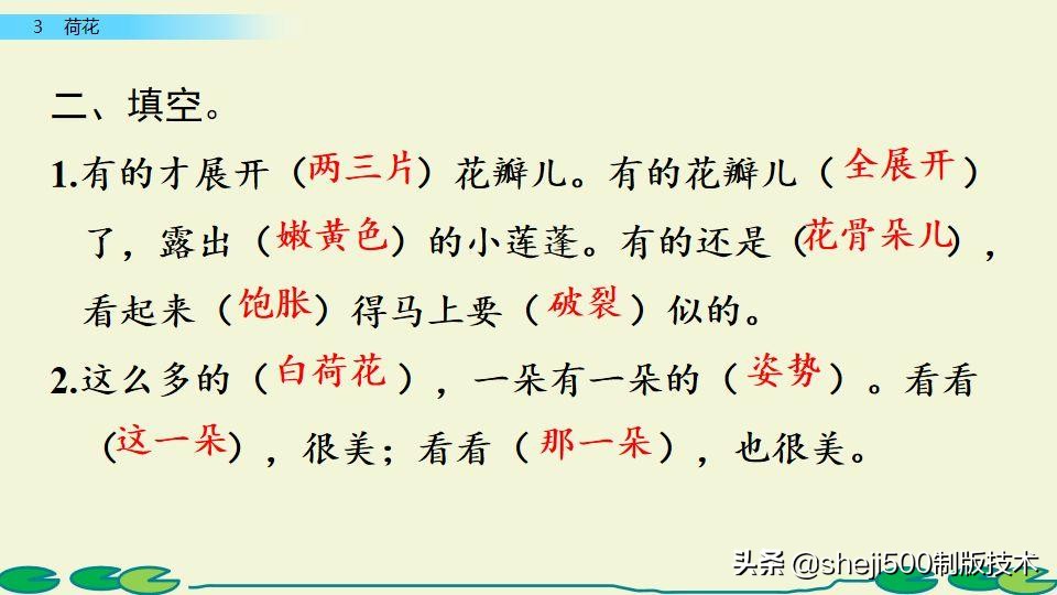 部编版三年级下册语文3荷花讲解,三年级下册部编语文荷花教学视频