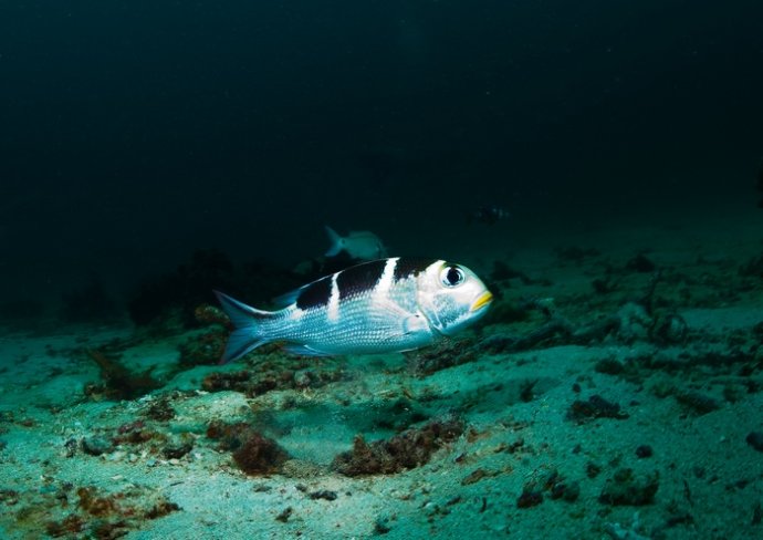 海底你不知道的东西,海底世界东海龙宫