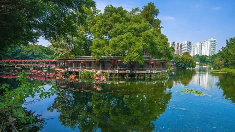 广州凉爽又好玩公园在哪里,夏季广州公园游玩攻略