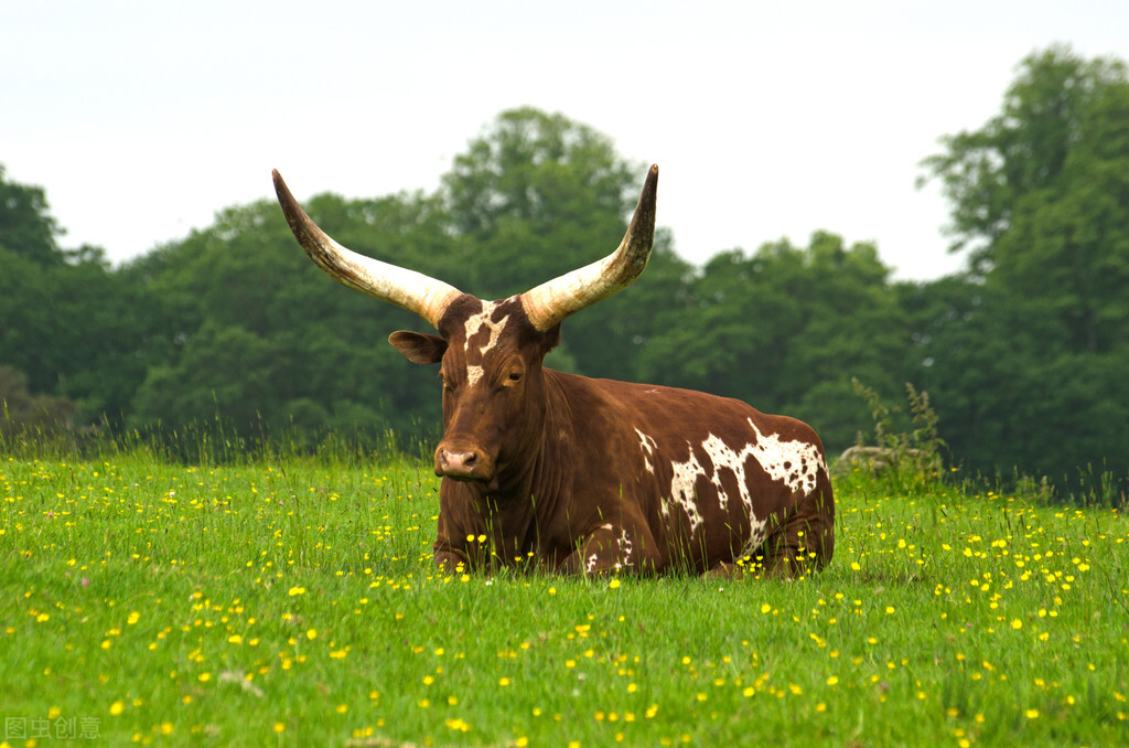 华夏幸福股票历史最高纪录,华夏幸福2018年股价最高多少