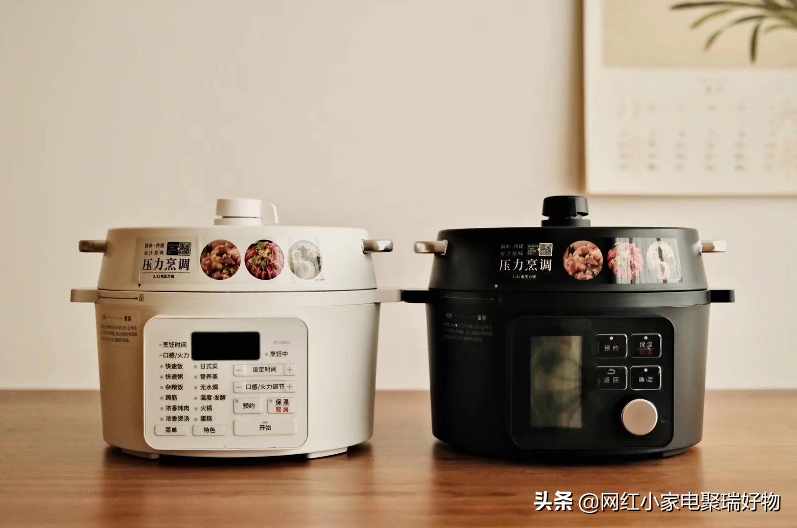 爱丽思电压力锅推荐吗,日本爱丽思电压力锅