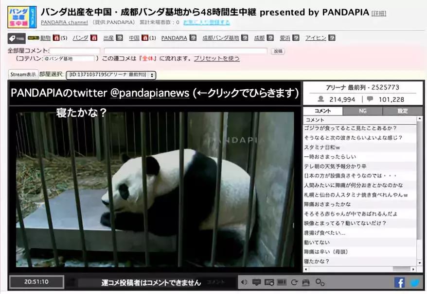 不是开玩笑，我把我家的兔子摸怀孕了...