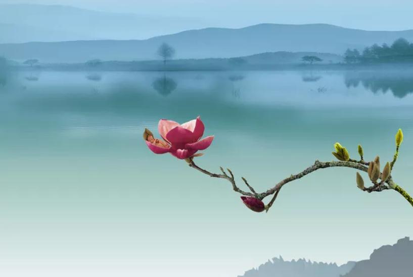 6首春雨诗词惊艳了我们,20首春雨诗词一朝春雨过万物