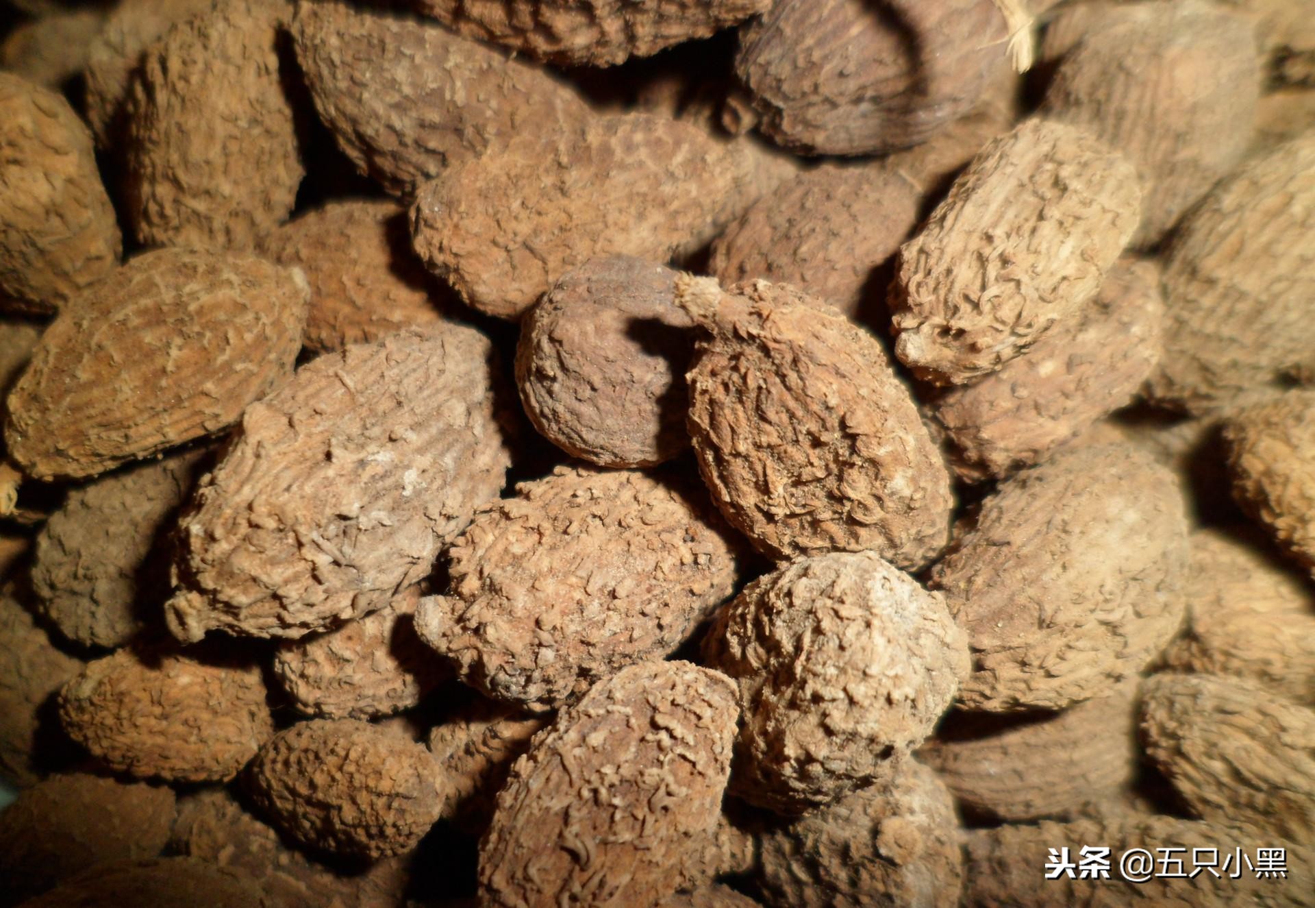 盈则亏满则溢出自哪里,盈则溢满则亏是啥意思