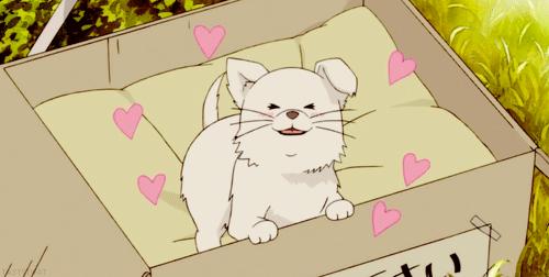 韩国留学行前指导:机票/行李/出入境指南/韩国生活……