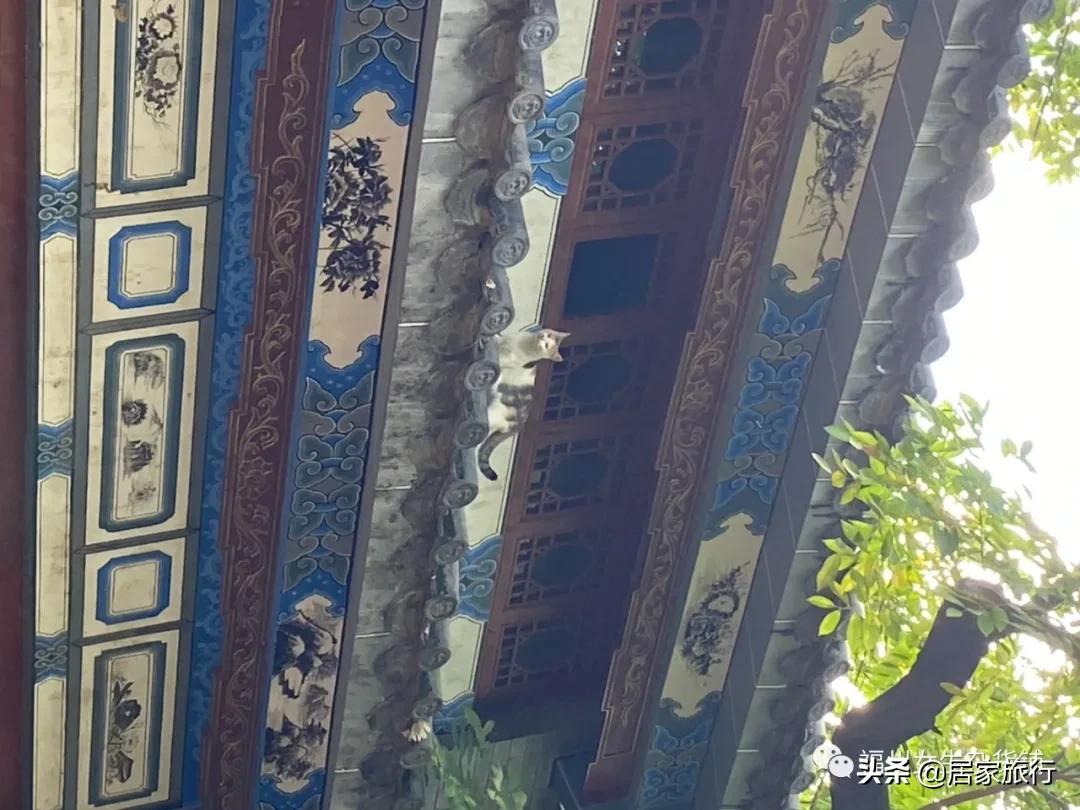 7/10，凌晨夜深码字进行时，时间里的小确幸