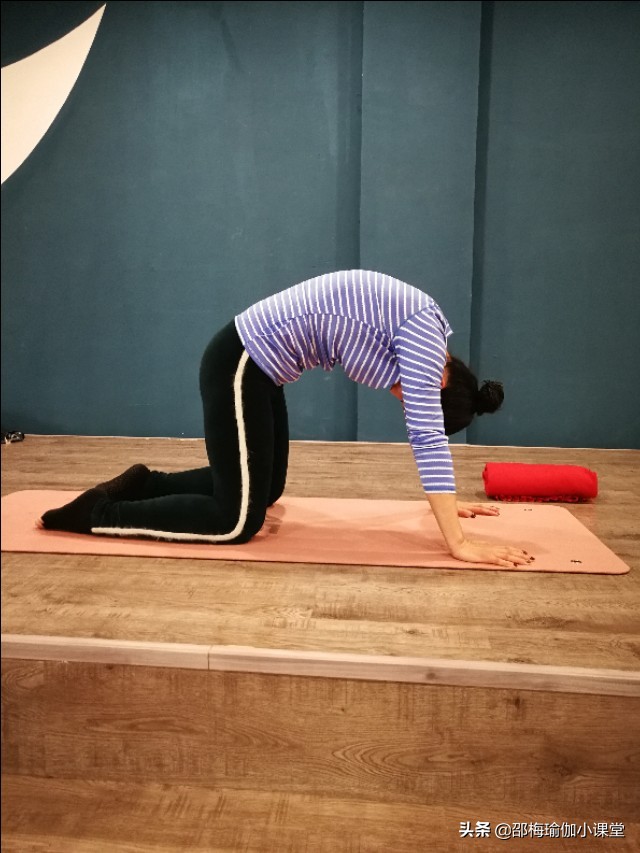 经期瑜伽串联,经期瑜伽体式100例