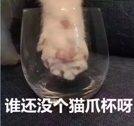猫爪杯星巴克粉的,猫爪杯紫色和粉色