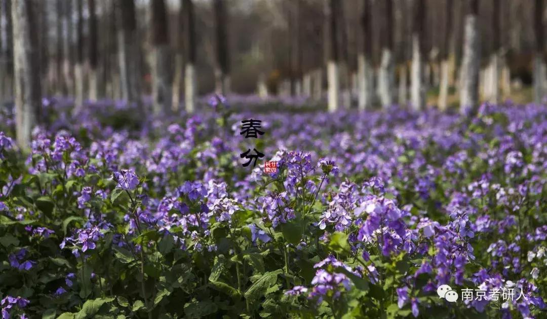 河海大学材料与化工考研分数线,河海大学计算机考研录取分数线