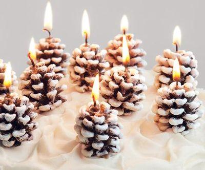 不值钱的松果图片,不值钱的松果图片大全