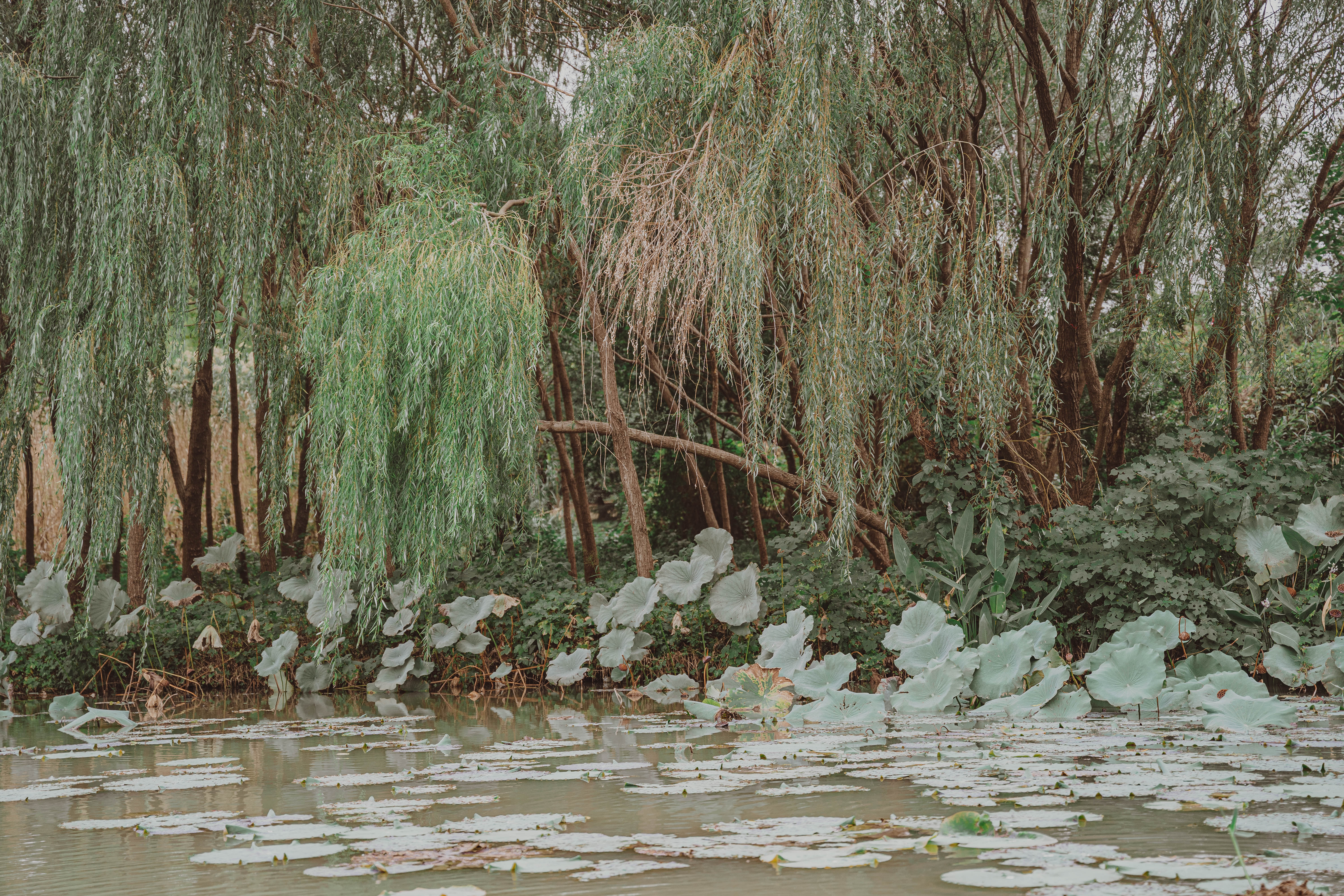 秋冬就要泡温泉呀,冬天一定要一起去泡温泉