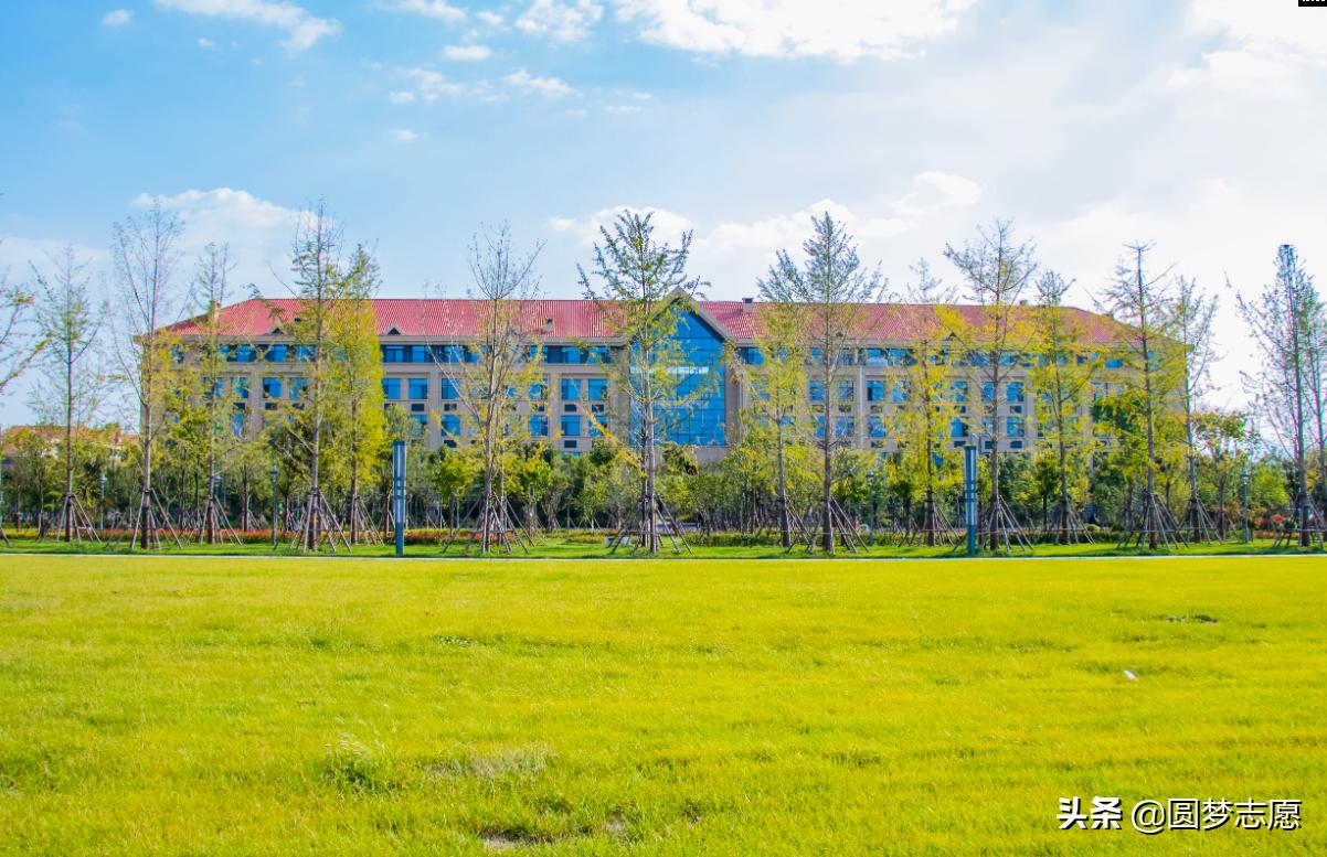 山东大学在全国985大学的排名,山东大学没落了吗