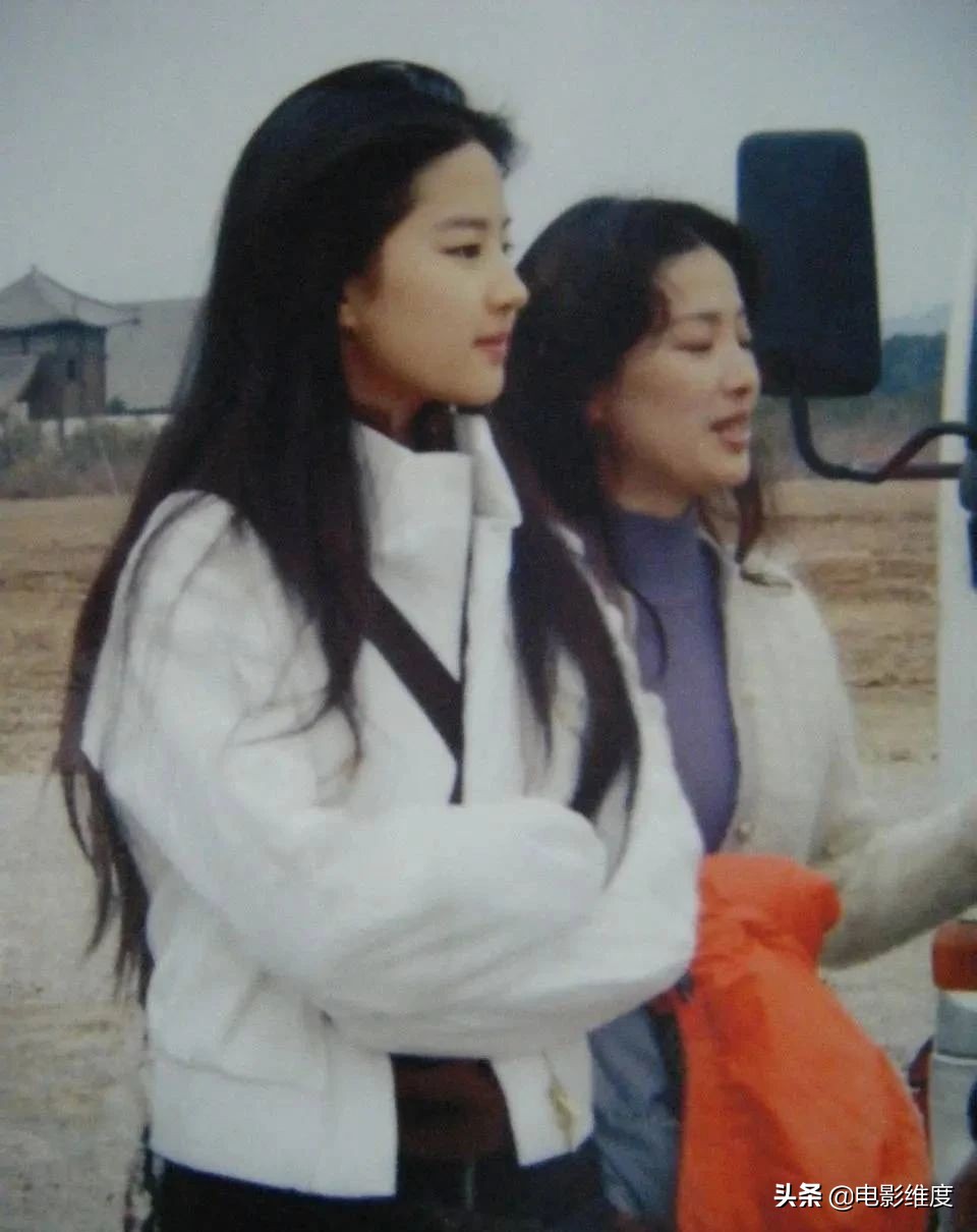 “坏男人”芦芳生：公认反派专业户，与海清传绯闻，至今感情成谜