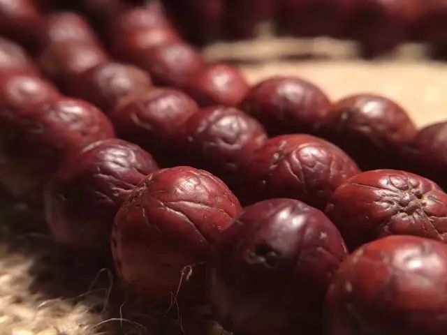 凤眼菩提眼睛漏了怎么办,凤眼菩提的眼睛各种形状