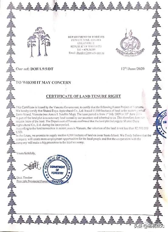 最稀有的游戏王卡牌,8700万的游戏王卡拍卖全过程