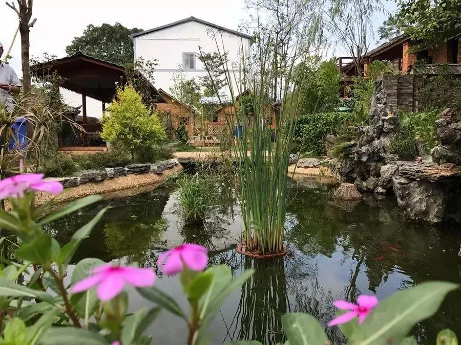 你见过这样的晾衣绳吗,晾衣绳实用吗