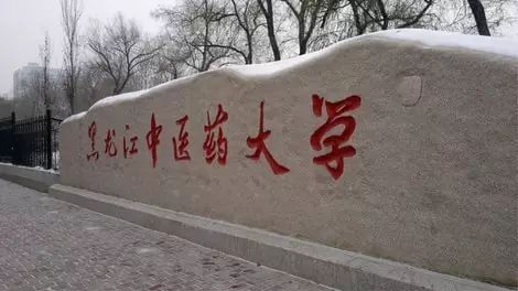 哈尔滨市内环境,哈尔滨一年四季的现状