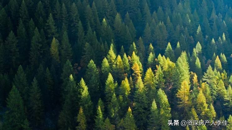 永清今后有发展前途,永清未来发展有哪些